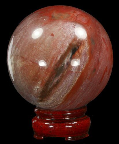 Colorful Petrified Wood Sphere #41947